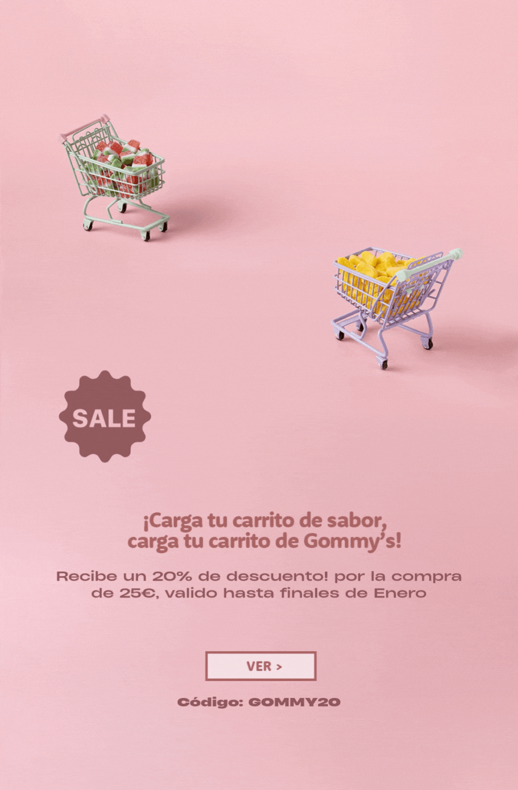Recibe un 20% de descuento! por la compra de 25€, valido hasta finales de Enero